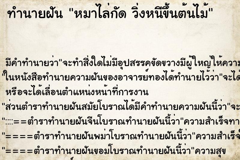 ทำนายฝัน หมาไล่กัด วิ่งหนีขึ้นต้นไม้ ทำนายฝัน หมาไล่กัด วิ่งหนีขึ้นต้นไม้